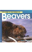 Welcome to the World of Beavers