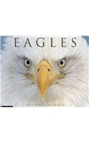 Eagles