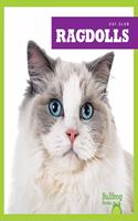 Ragdolls: (Cat Club)