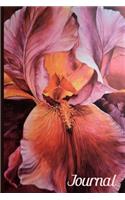 Iris Flower Journal