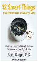 12 Smart Things to Do When the Booze and Drugs Are Gone Lib/E