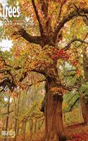 TREES WALL CALENDAR 2020