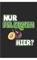 Nur Pflaumen hier?: Notizbuch mit lustigem Spruch - Geschenk-Idee für Komiker & Pubertierende - Karo - A5 - 120 Seiten