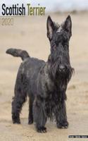 SCOTTISH TERRIER W 2020