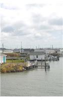 Tangier Island Notebook