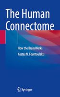 The Human Connectome: How the Brain Works
