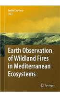 Earth Observation of Wildland Fires in Mediterranean Ecosystems