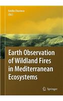 Earth Observation of Wildland Fires in Mediterranean Ecosystems