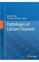 Pathologies of Calcium Channels