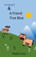 Friend True Blue