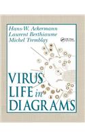 Virus Life in Diagrams