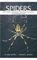 Spiders of the Eastern United States