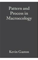 Pattern and Process in Macroecology