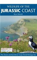 Wildlife of the Jurassic Coast