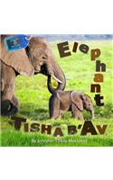 Elephant Tisha b'Av
