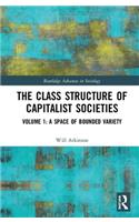The Class Structure of Capitalist Societies: Volume 1: A Space of Bounded Variety