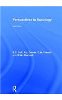 Perspectives in Sociology