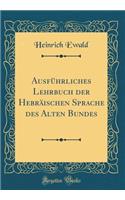 Ausführliches Lehrbuch der Hebräischen Sprache des Alten Bundes (Classic Reprint)