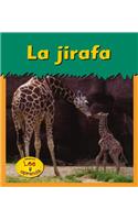 La Jirafa