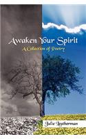 Awaken Your Spirit: A Collection of Poetry