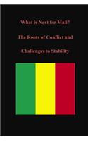What is Next for Mali? The Roots of Conflict and Challenges to Stability: (English)