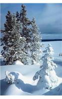 Journal Beautiful Winter Scene: (Notebook, Diary, Blank Book)(Seasonal Winter Photo Journals Notebooks Diaries)