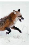 Red Fox Run Any Day Planner Notebook: Blank Scheduler Organizer(26 Wildlife 150 Planner)