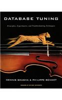 Database Tuning