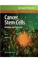 Cancer Stem Cells