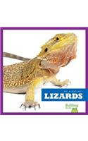 Lizards