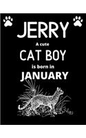 JERRY a cute cat boy is born in January