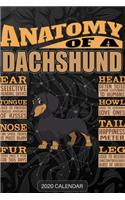 Anatomy Of A Dachshund: Dachshund 2020 Calendar - Customized Gift For Dachshund Dog Owner