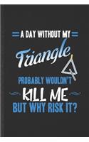 A Day Without My Triangle Probably Wouldn't Kill Me but Why Risk It