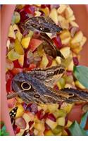 Pretty Owl Butterfly Gathering Journal