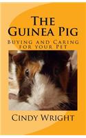 Guinea Pig