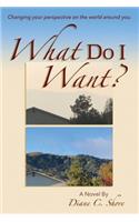 What Do I Want?