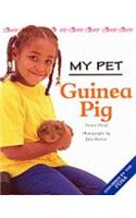 MY PET GUINEA PIG