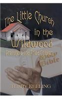 Little Church in the Wildwood