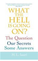 What The Hell Is Going On? The Question, Our Secrets, Some Answers