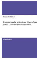 Transkulturelle ambulante Altenpflege in Berlin - Eine Bestandsaufnahme