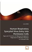 Human Respiratory Syncytial Virus Entry into Permissive Cells