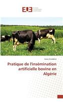 Pratique de Linsémination Artificielle Bovine En Algérie