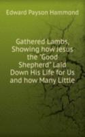 Gathered Lambs, Showing how Jesus the "Good Shepherd" Laid Down His Life for Us and how Many Little
