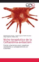 Nicho terapéutico de la Ceftazidima-avibactam