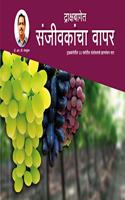 à¤¦à¥à¤°à¤¾à¤•à¥à¤·à¤¬à¤¾à¤—à¥‡à¤¤ à¤¸à¤‚à¤œà¥€à¤µà¤•à¤¾à¤‚à¤šà¤¾ à¤µà¤¾à¤ªà¤° ( Use of Plant Growth Regulators In Grape Vineyard )