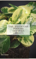 Care Tips for Your Peperomia Obtusifolia Variegata