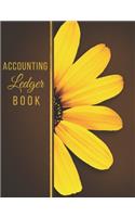 Accounting Ledger Book