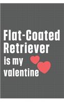 Flat-Coated Retriever is my valentine: For Flat-Coated Retriever Dog Fans