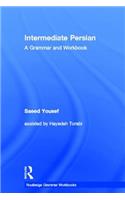 Intermediate Persian: A Grammar and Workbook