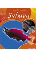 The Life Cycle of a Salmon